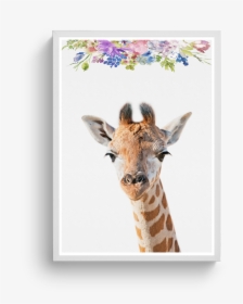 Giraffe Floral   Class Lazyload Lazyload Fade In Cloudzoom - Giraffe, HD Png Download, Transparent PNG