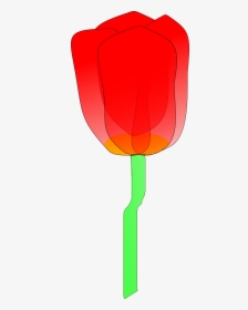 Png Tulipán - Clip Art, Transparent Png, Transparent PNG