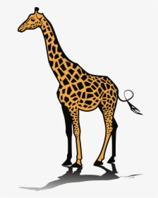 Clipart Giraffe - Clip Art Picture Of Giraffe, HD Png Download, Transparent PNG