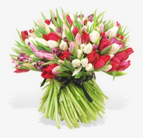 Transparent Red Tulip Png - Bouquet, Png Download, Transparent PNG