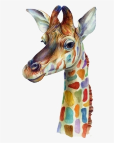 Watercolor Giraffe Plus Iphone 4s Png Download Free - Clipart Giraffe, Transparent Png, Transparent PNG