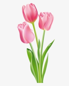 Simple Doodle Red Tulip Te Flower Seamless Background - Tulip Flower Clipart Png, Transparent Png, Transparent PNG