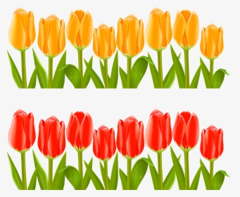 Indira Gandhi Memorial Tulip Garden Flower Clip Art - Flower Pot Clipart Tulips, HD Png Download, Transparent PNG