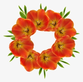 Transparent Red Tulip Png - Flower Crowns Png Orange, Png Download, Transparent PNG