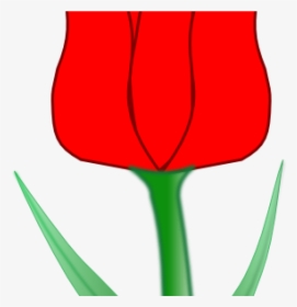 Red Tulip Transparent Clip - Tulip Clipart Transparent, HD Png Download ...