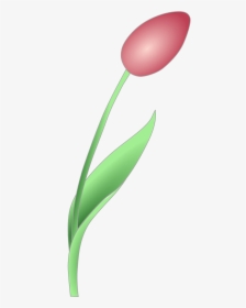 Bud Clipart, HD Png Download, Transparent PNG