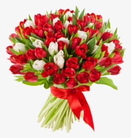 Clip Art Red And White Tulips - Тюльпаны Белые Красные Букет, HD Png Download, Transparent PNG