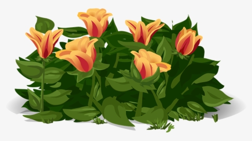 Tulips, Flowers, Plants, Yellow, Red, Petals, Orange - Gelukkige Lente Dag, HD Png Download, Transparent PNG