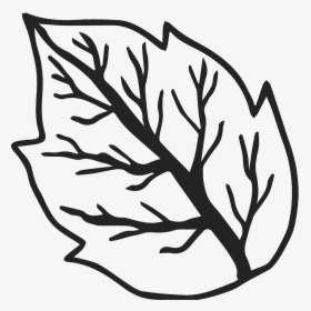 Clip Art, HD Png Download, Transparent PNG