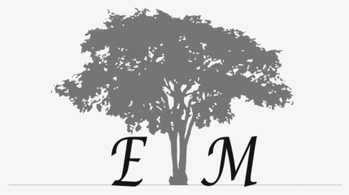 Elm Tree, HD Png Download, Transparent PNG