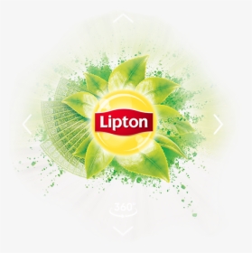 Lipton Case Study Logo - Lipton Matcha Logo, HD Png Download, Transparent PNG