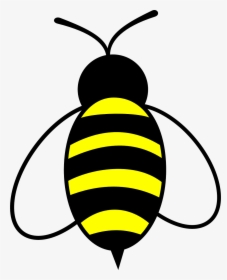 Bumble Bee Clip Art, HD Png Download, Transparent PNG