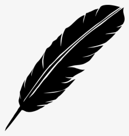 Feather - Feather Png, Transparent Png, Transparent PNG