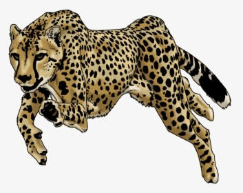 Running Leopard Png Image Background - Leopard Drawing Png, Transparent Png, Transparent PNG