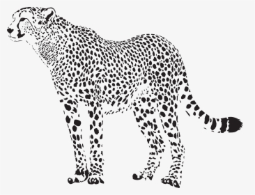 Cheetah Silhouette Png Transparent Clip Art Image, Png Download, Transparent PNG