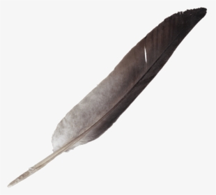 Transparent Tribal Feather Png - Transparent Background Feather Pen Png, Png Download, Transparent PNG