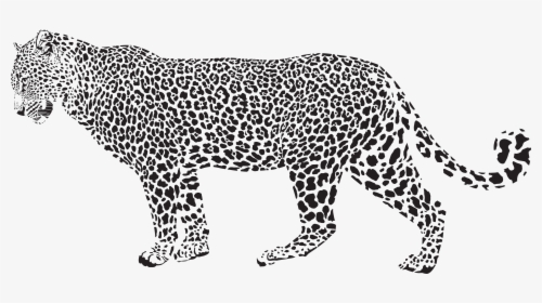 Snow Leopard Cheetah Clip - Leopard Black And White, HD Png Download, Transparent PNG