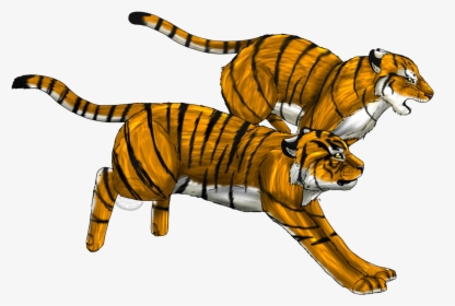 Transparent Cheetah Face Png - Transparent Background Tiger Running Png, Png Download, Transparent PNG