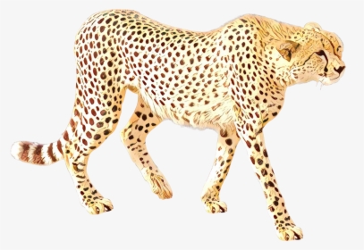 Cheetah Leopard Cat Jaguar Terrestrial Animal - Cheetah Leopard Transparent Background Realistic, HD Png Download, Transparent PNG