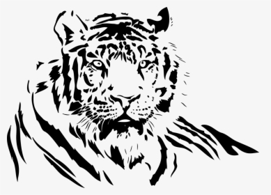 Tiger Black And White, HD Png Download, Transparent PNG