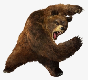 Bear Png Image Transparent - Tekken 5 Kuma, Png Download, Transparent PNG