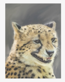 Painting Grinning Cheetah Portrait Poster 18 X24 - Cheetah, HD Png Download, Transparent PNG