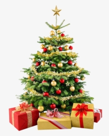 Christmas Tree Png - Christmas Tree No Background, Transparent Png, Transparent PNG