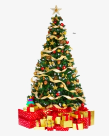 Christmas Tree Png Pic - Christmas Tree Png Download, Transparent Png, Transparent PNG