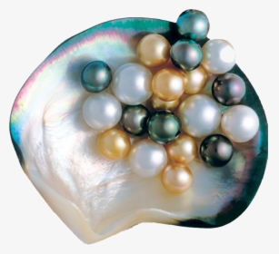 Pearl, HD Png Download, Transparent PNG