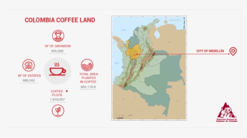 Stats About Coffee Production In Colombia - Coffee Grown In Colombia, HD Png Download, Transparent PNG