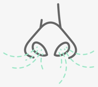 The Power Of Breathing, HD Png Download, Transparent PNG