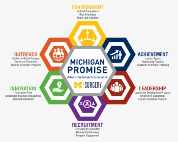 Michigan Promise Graphic With Icons And Initiatives - Leadership Development Program Promotion, HD Png Download, Transparent PNG
