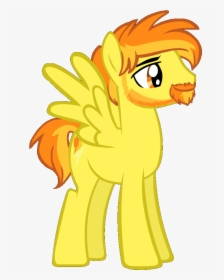 My Little Pony With Beard, HD Png Download, Transparent PNG