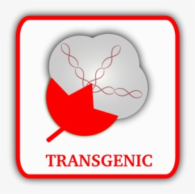 Free Clip Art Transgenic - Transgenic Cotton, HD Png Download, Transparent PNG