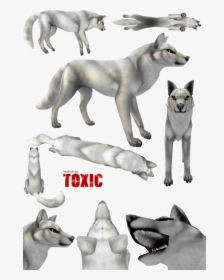 Canine Texture Free By Toxic Red Wolf - Feral Heart Preset Textures, HD Png Download, Transparent PNG