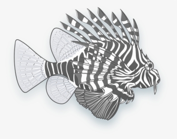Lionfish, HD Png Download, Transparent PNG