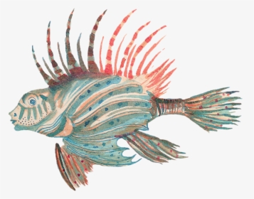 Lionfish , Png Download - Lionfish, Transparent Png, Transparent PNG