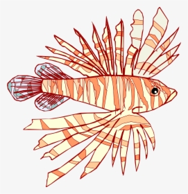 Lionfish , Png Download - Illustration, Transparent Png, Transparent PNG