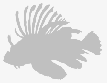 Lionfish Icon , Png Download - Lionfish Png White, Transparent Png, Transparent PNG