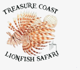 Tc Lionfish Safari - Lionfish, HD Png Download, Transparent PNG