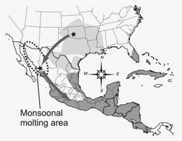 Map Of Southern United States And Mexico Showing Breeding - Distribution Of Montezuma Bald Cypress, HD Png Download, Transparent PNG