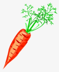 Carrot Drawing Png - Морковь Клипарт, Transparent Png, Transparent PNG