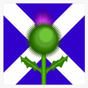 Scottish Thistle And Flag - Scotland Flag And Thistle, HD Png Download, Transparent PNG