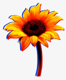 #flowers #flower #sunflower #sun #yellow #red #sticker - Sunflower, HD Png Download, Transparent PNG