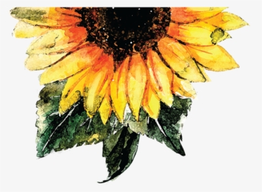 Watercolor Sunflower With Transparent Background, HD Png Download, Transparent PNG