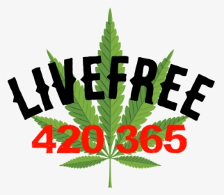 Livefree420365 - Illustration, HD Png Download, Transparent PNG