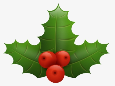Christmas Holly Png Clip Art Image - Christmas Holly Berry Vector Png, Transparent Png, Transparent PNG