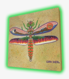 Dragonfly, HD Png Download, Transparent PNG