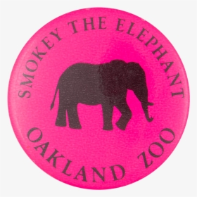 Transparent Smokey Png - Indian Elephant, Png Download , Transparent ...
