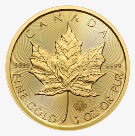 1 Oz Maple Leaf Gold Coin (front) - Maple Leaf 1 Oz Gold, HD Png Download, Transparent PNG